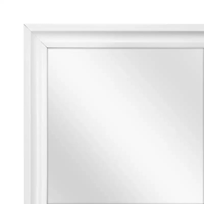 Miroir mural et de porte encadré 13,5" x 49,5", finition mate